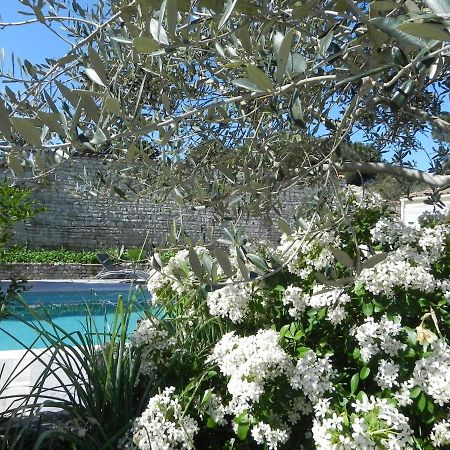 Villa Del Re 3 Face A La Piscine La Flotte Luaran gambar